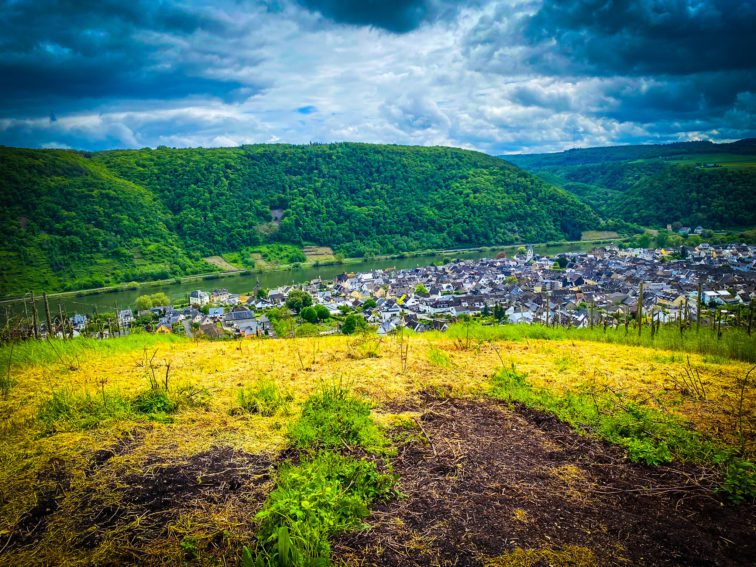 WhatsApp Bild 2024 05 03 um 14.423