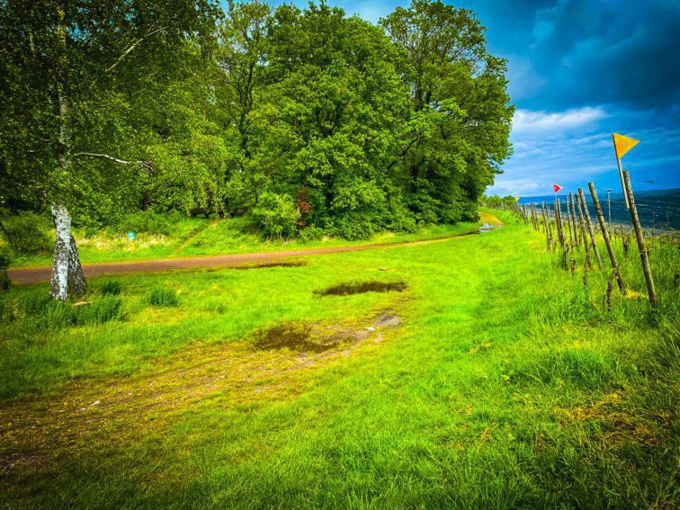 WhatsApp Bild 2024 05 03 um 14.43.03 22f7a491