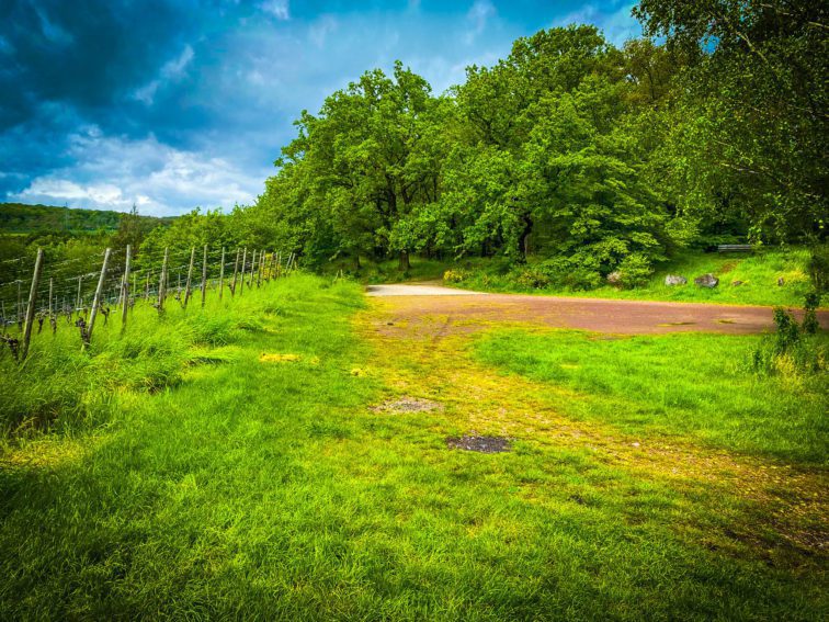 WhatsApp Bild 2024 05 03 um 143.43